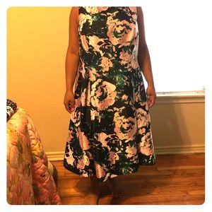 Beautiful Adrianna Papell 24w taffeta cocktail